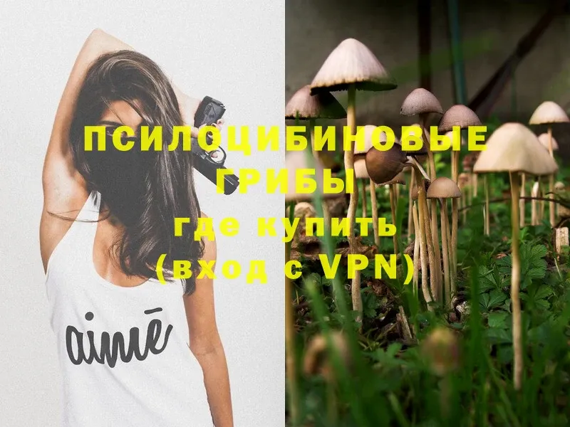 мега ССЫЛКА  Бронницы  Псилоцибиновые грибы Psilocybe 